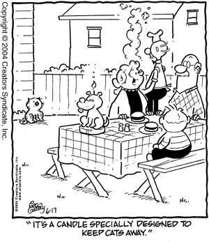 heathcliff